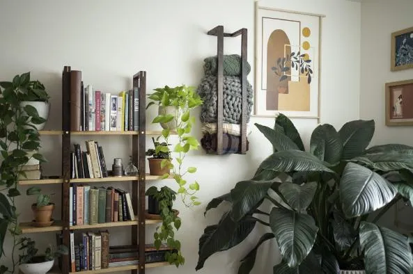 Blanket Wall Rack