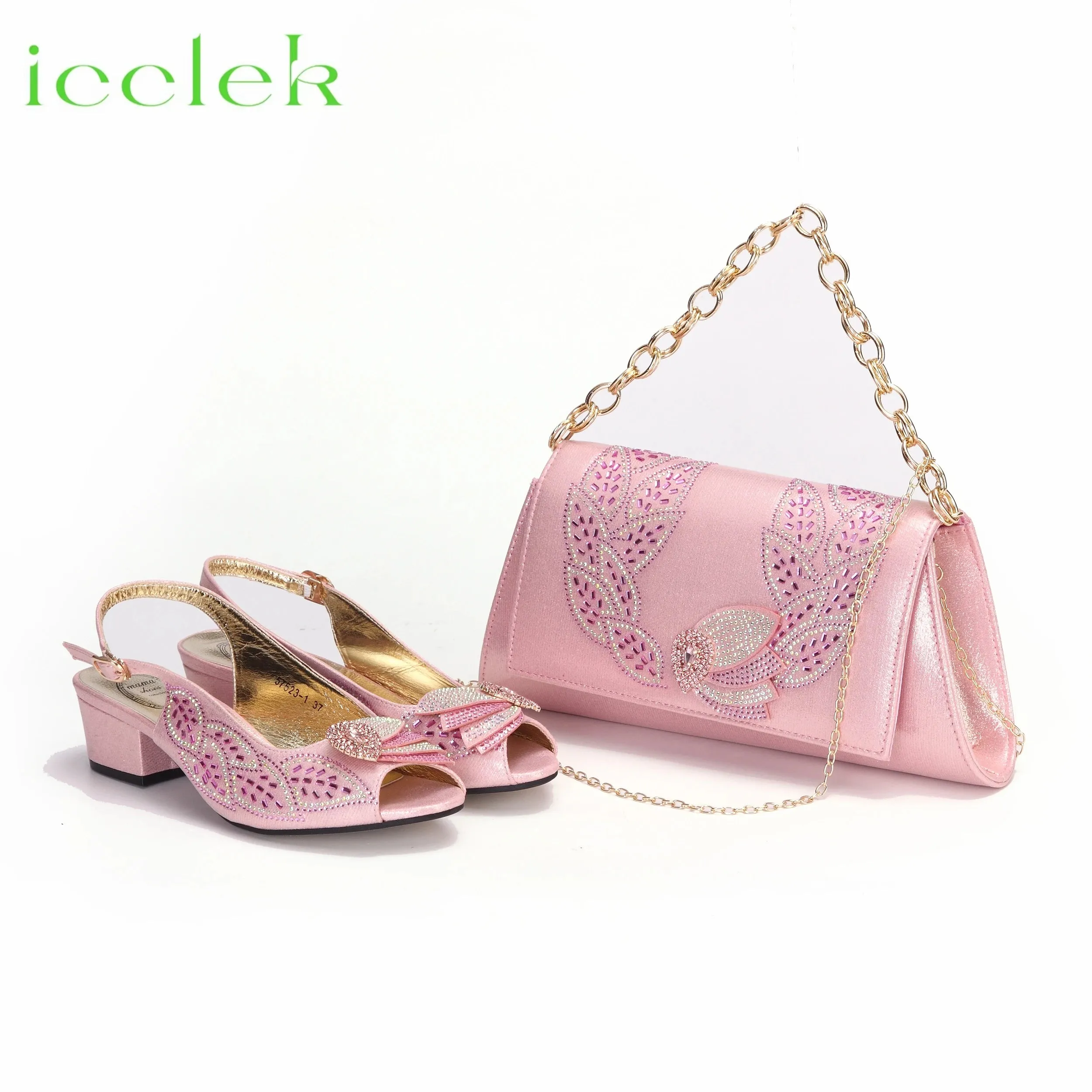 Elegant Low Heels Ladies Shoes And Bag Set