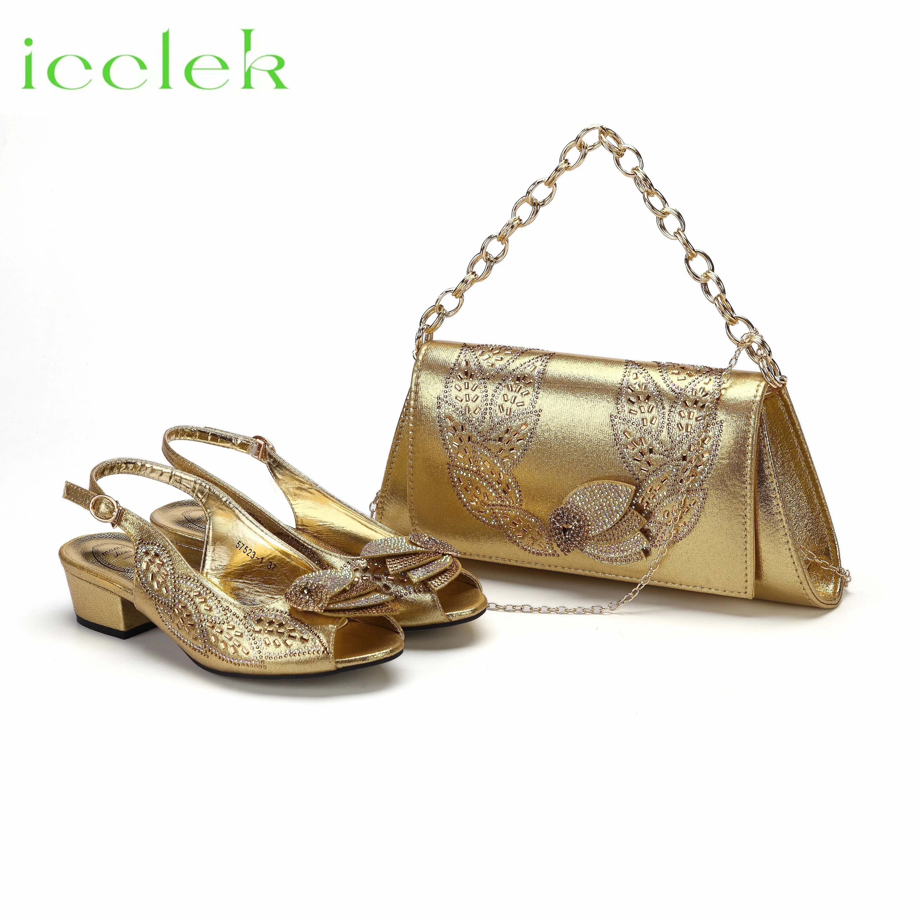 Elegant Low Heels Ladies Shoes And Bag Set