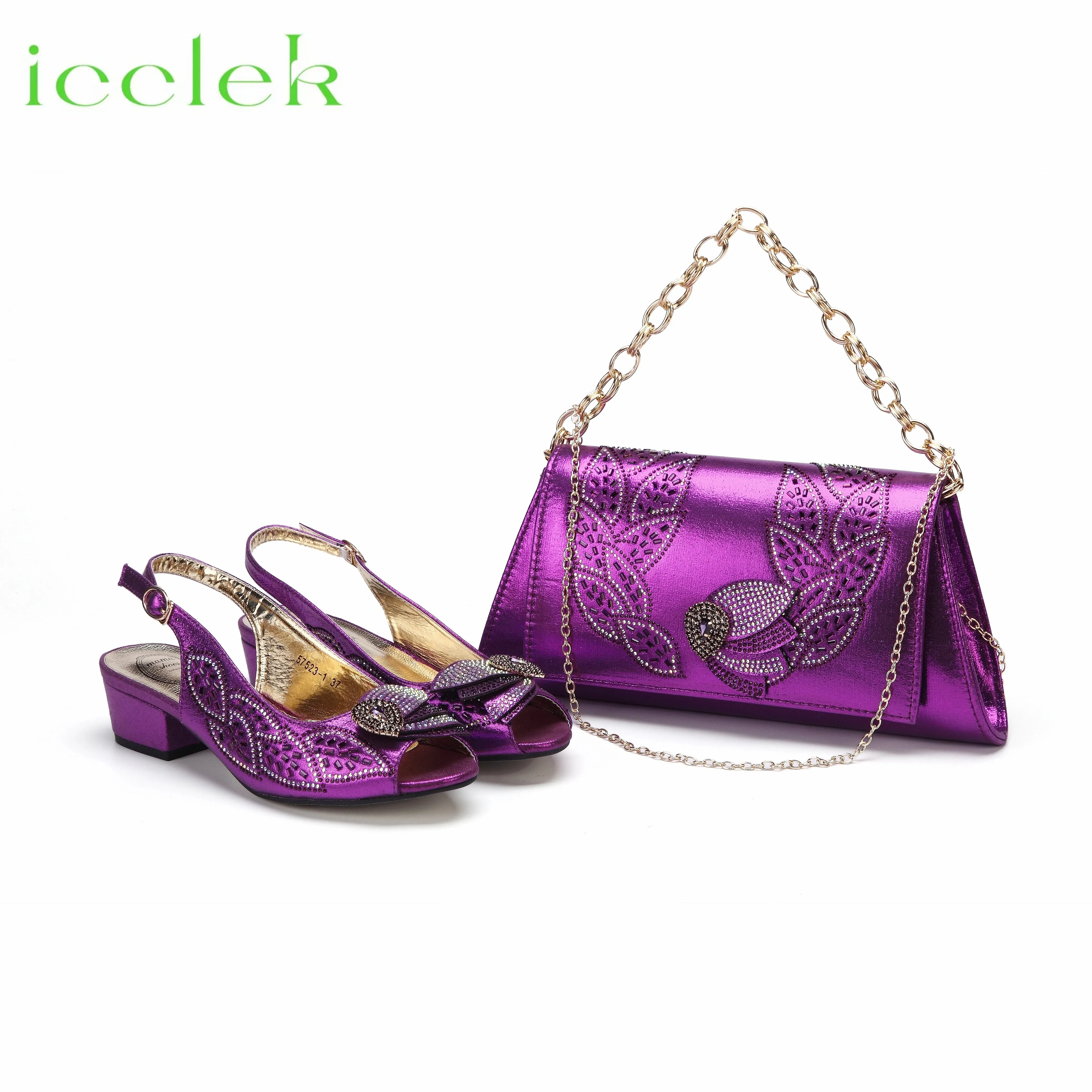 Elegant Low Heels Ladies Shoes And Bag Set