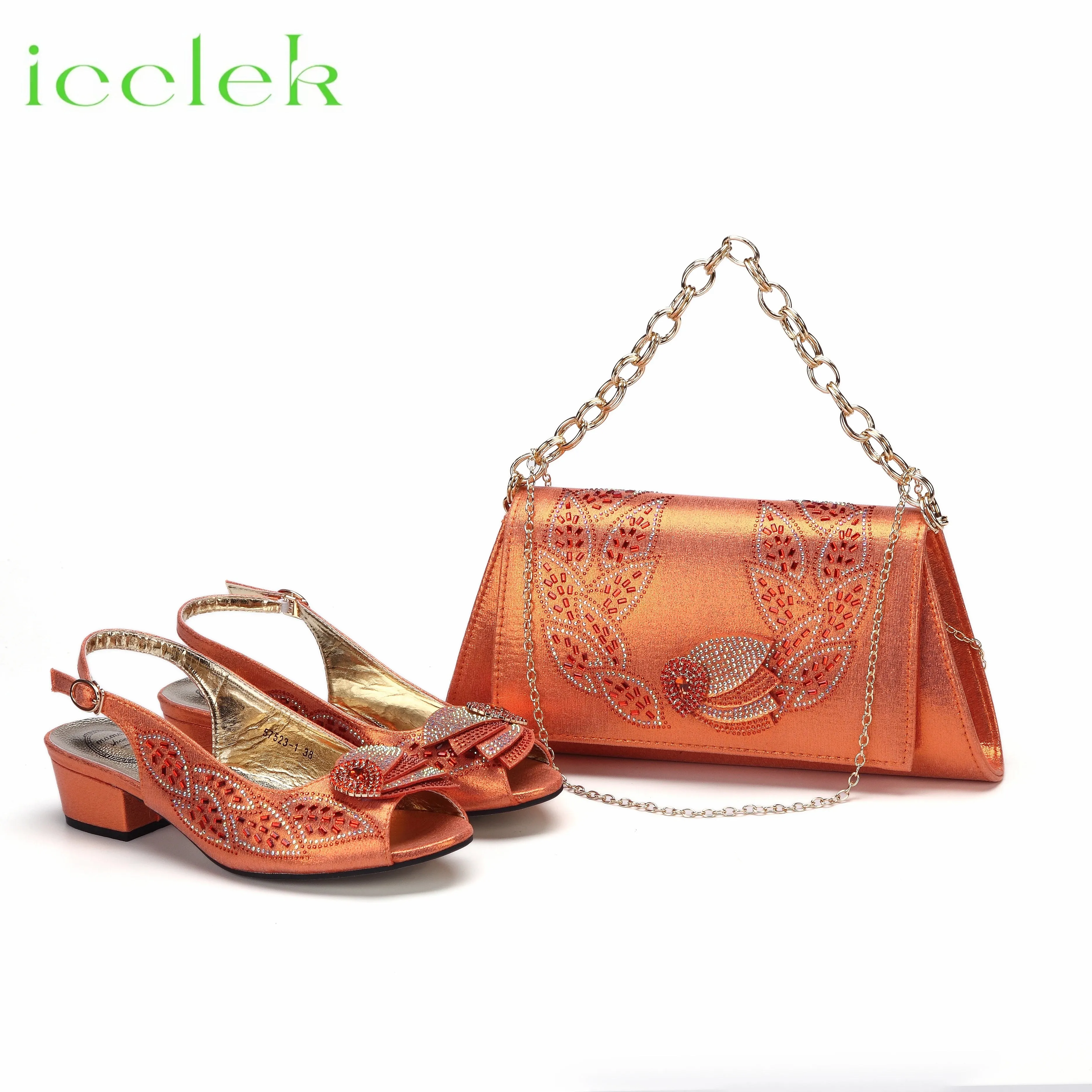 Elegant Low Heels Ladies Shoes And Bag Set