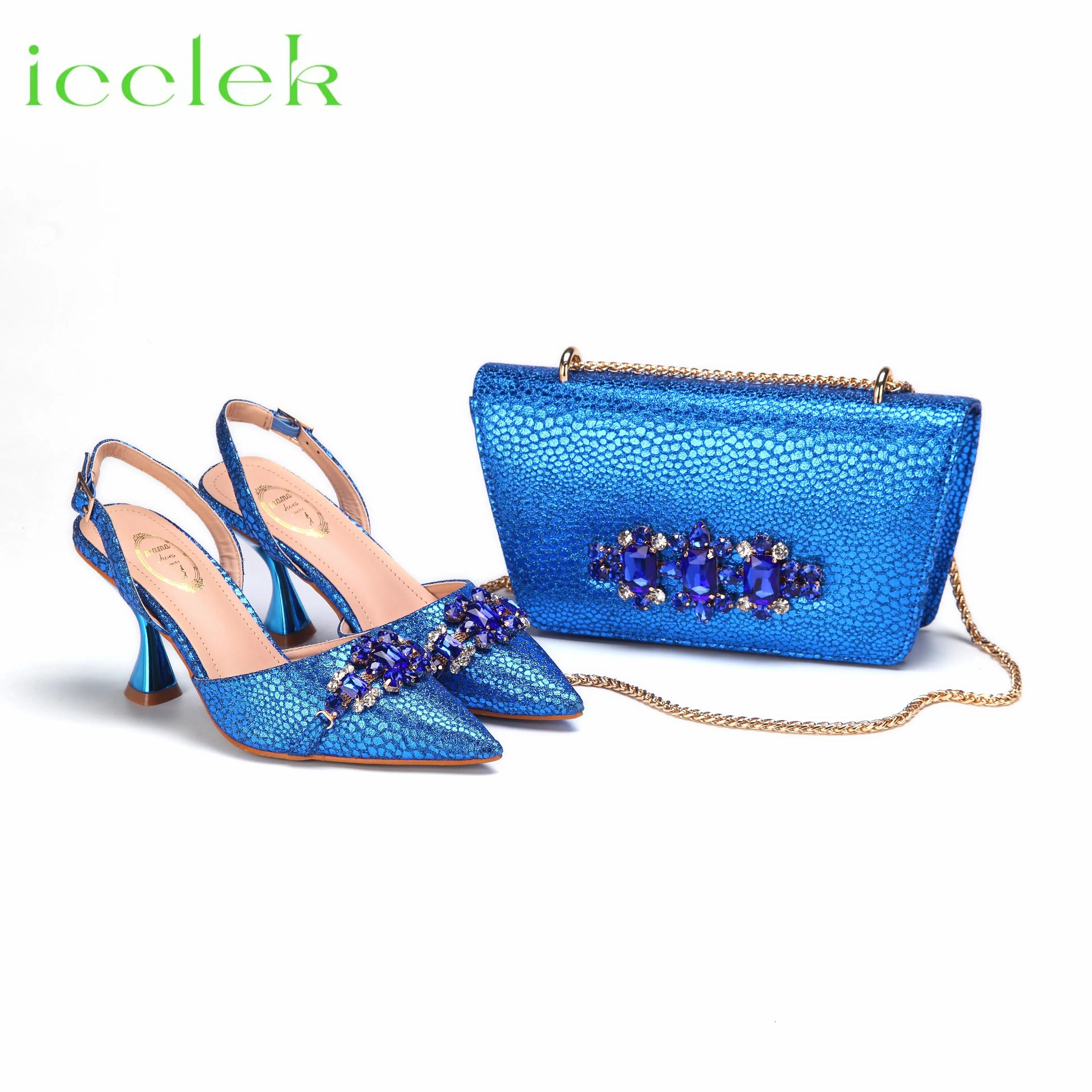 Women's Shoes and Bag Set with Pointed Toe