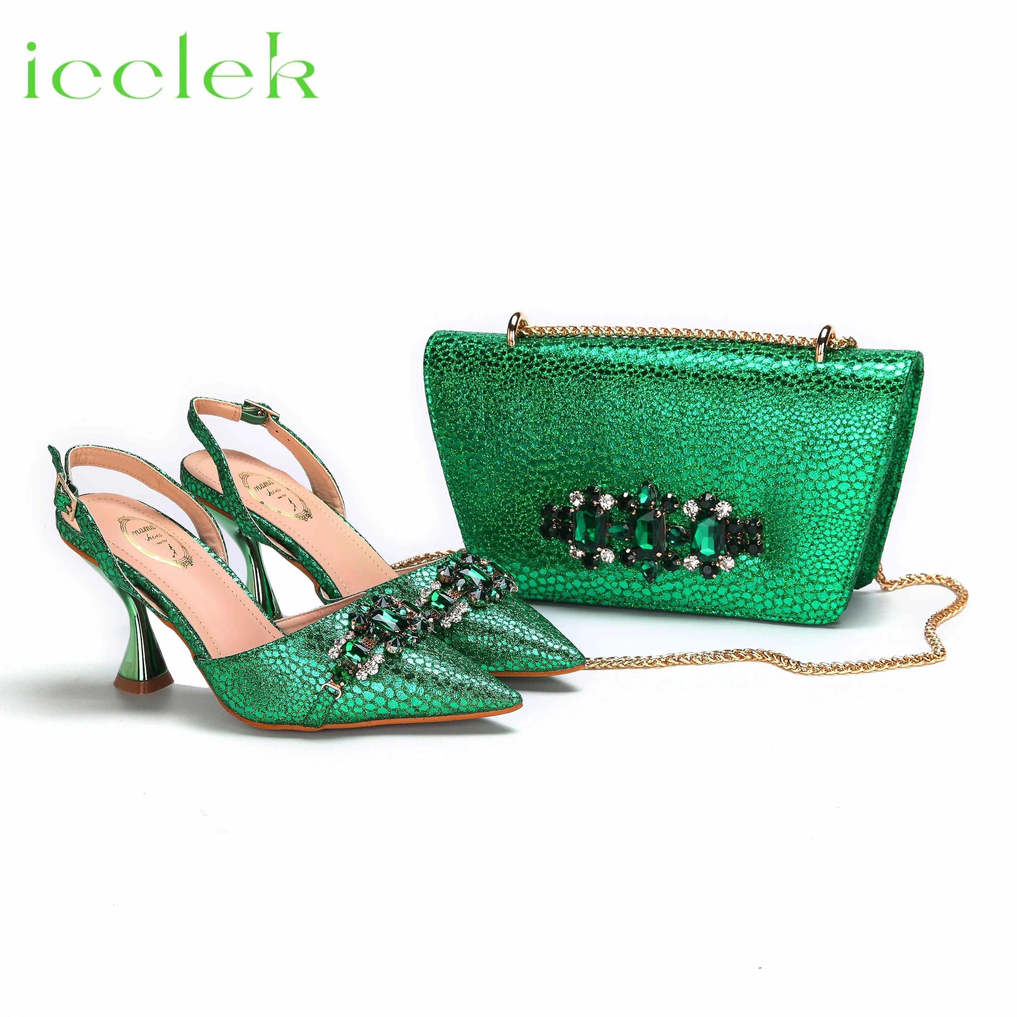 Women's Shoes and Bag Set with Pointed Toe