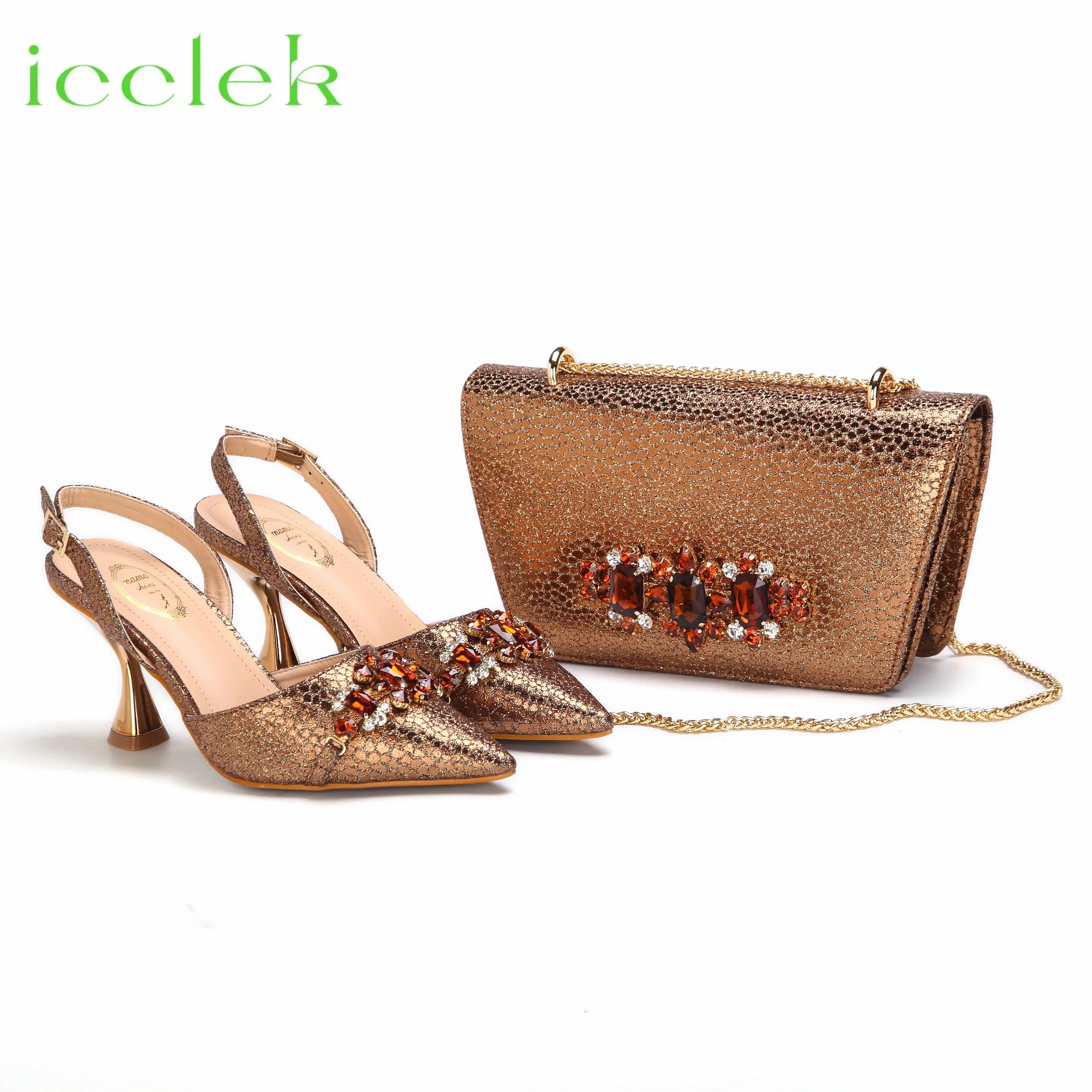 Women's Shoes and Bag Set with Pointed Toe